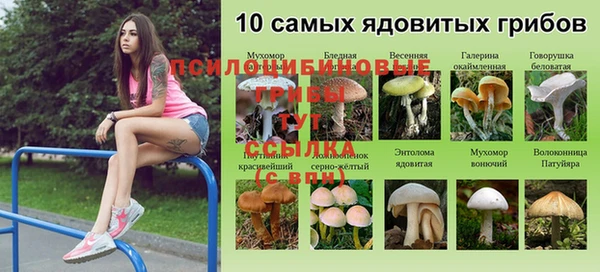 гашиш Касимов