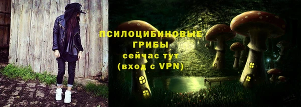гашиш Касимов
