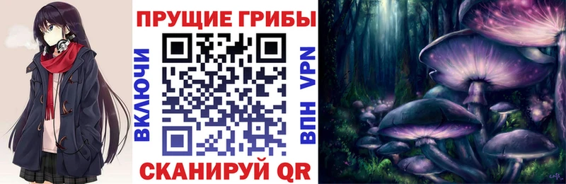 Купить где  Инза  Галлюциногенные грибы MAGIC MUSHROOMS 